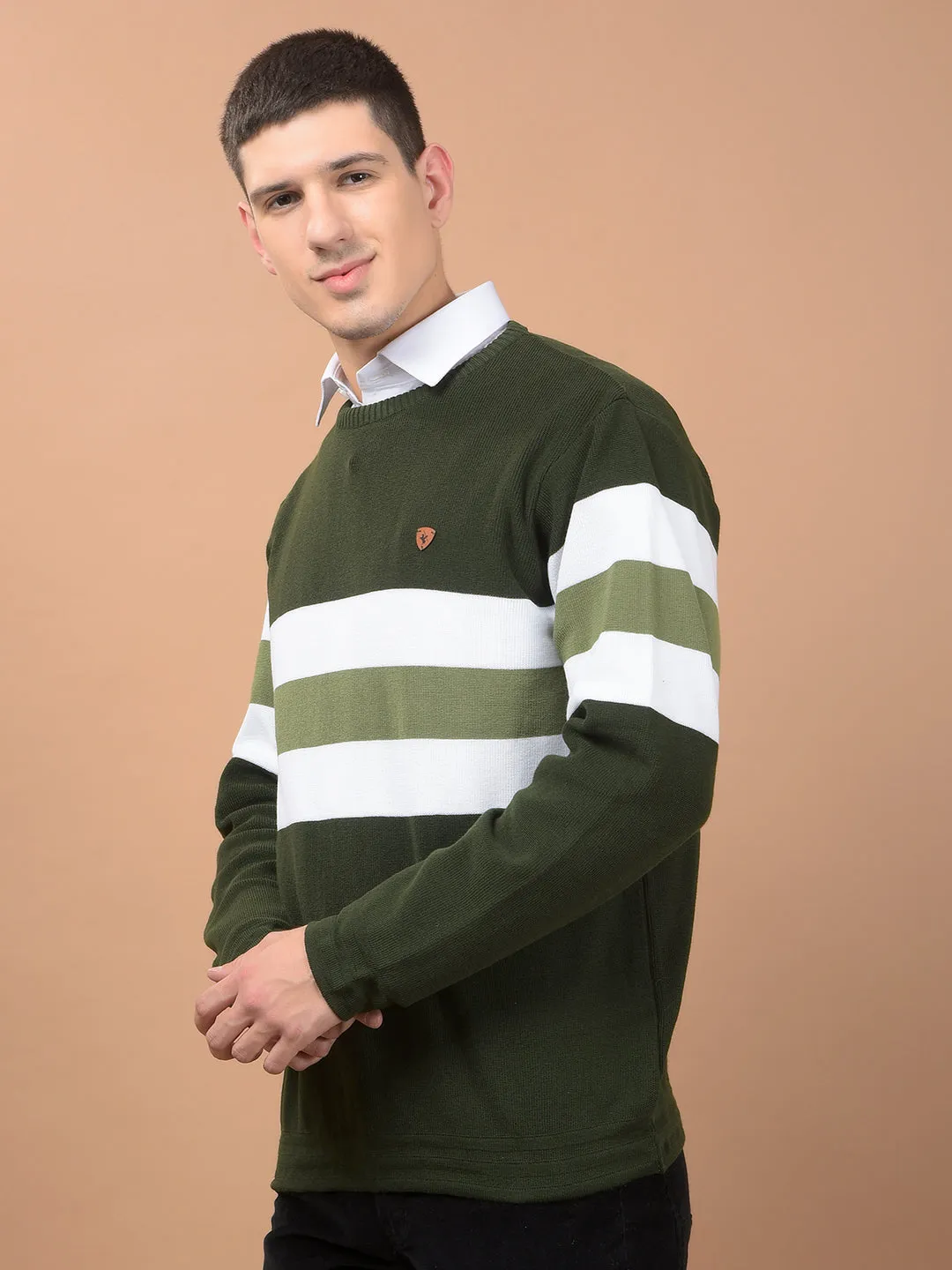 Men's Green Solid Full Sleeve Sweater