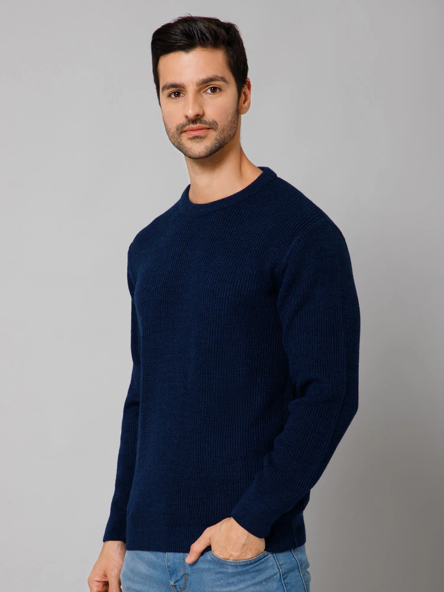 Self Design Blue Full Sleeves Round Neck Regular Fit Casual Sweater for Men