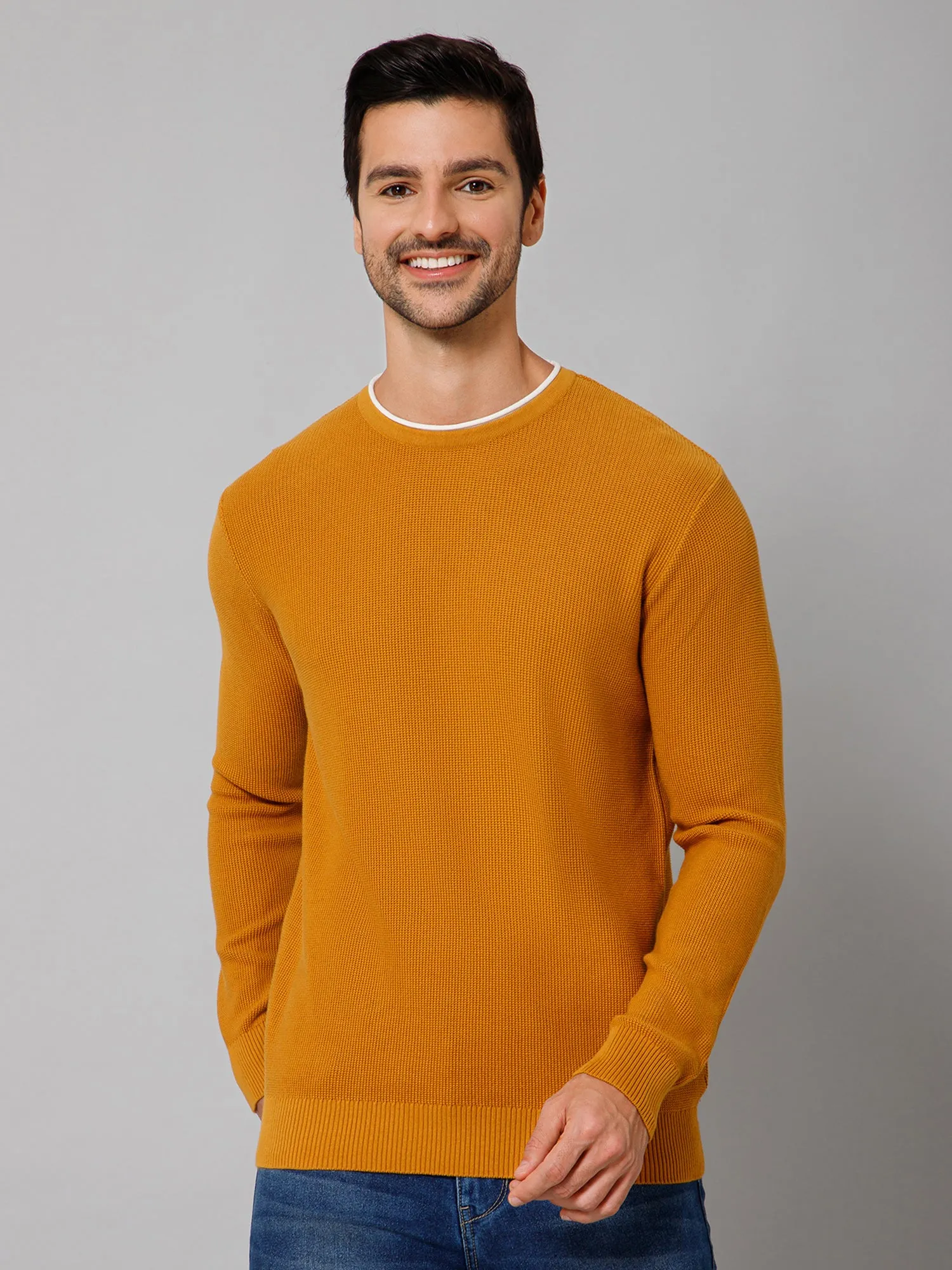 Self Design Mustard Full Sleeves Round Neck Regular Fit Casual Sweater for Men