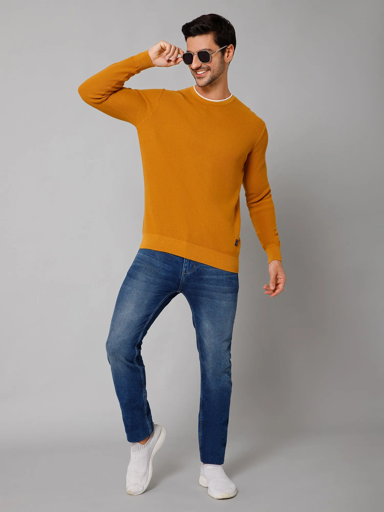 Self Design Mustard Full Sleeves Round Neck Regular Fit Casual Sweater for Men