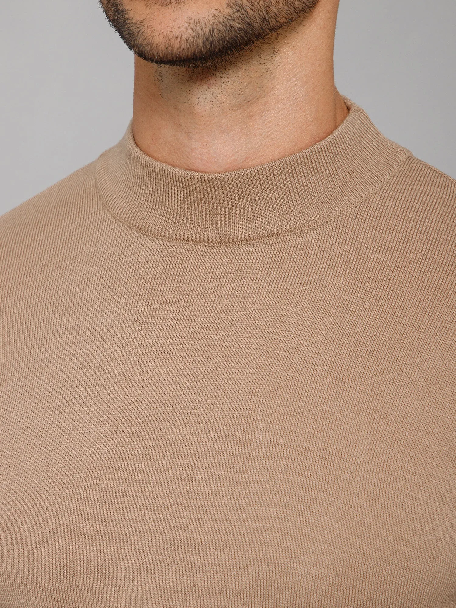 Solid Beige Full Sleeves Round Neck Regular Fit Casual Sweater for Men