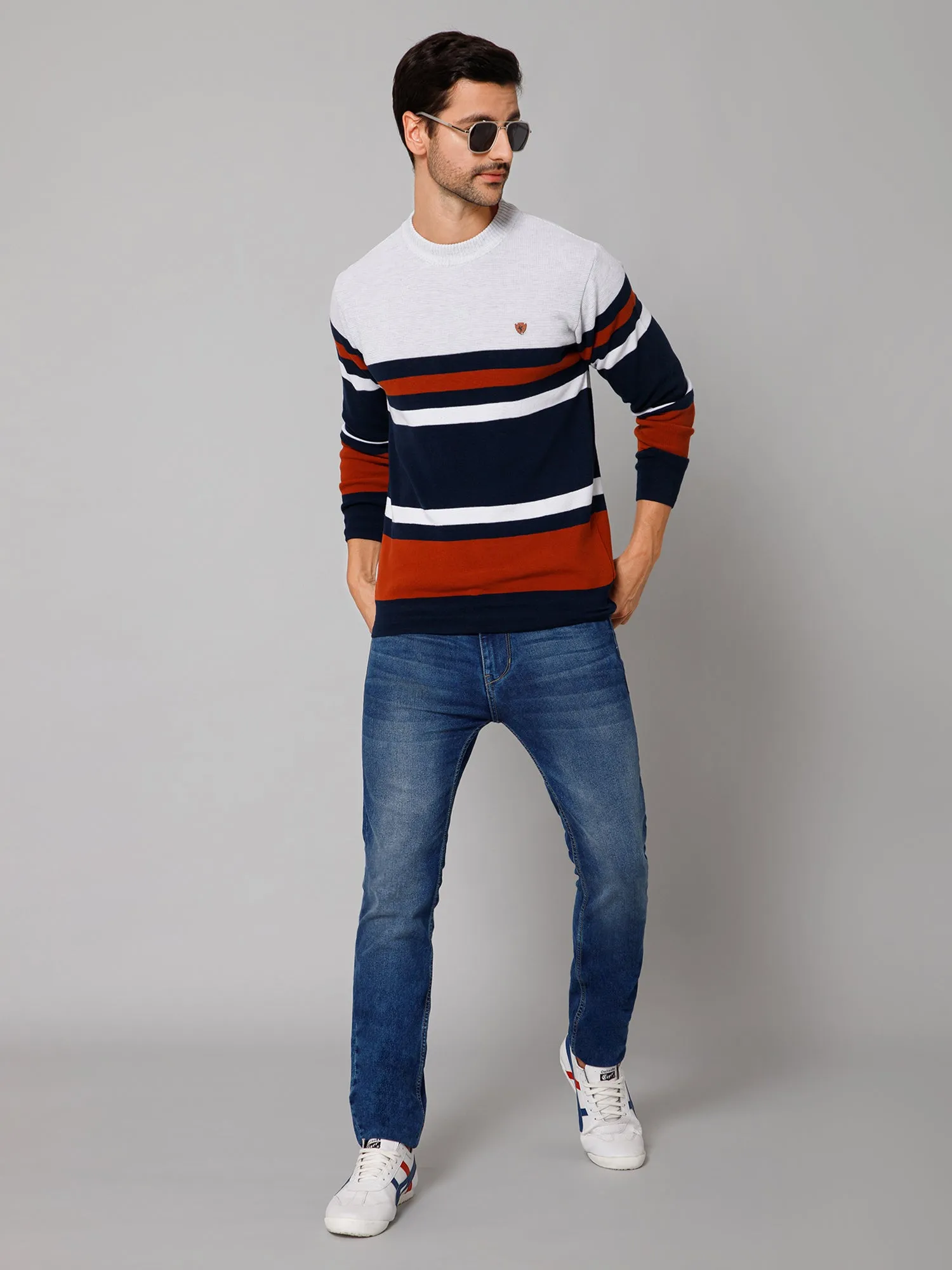 Stripe Rust Full Sleeves Round Neck Regular Fit Casual Sweater for Men